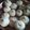 Tandra Nath's cooksnap of when they made সুজির অরেঞ্জ লাড্ডু(Soojir orange ladoo recipe in bengali).