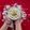 Deepa Rupani's cooksnap of when they made દૂધ પૌંઆ (Dudh Poha Recipe In Gujarati).