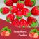 Cooksnap dari Susan Yuan untuk resep 🍁Nastar Strawberry ala vina 🍁