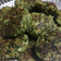 El cooksnap de Fernanda Peña Loyola cuando hizo Croquetas de Brócoli 🥦.
