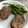 Mike Hutchinson's cooksnap of when they made Kari's Meatloaf.