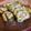 il Vita Vacondio quando ha preparato Rotolo di Frittata agli Spinaci Farcito con Salsiccia e Ricotta