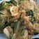 Cooksnap dari Stephanie Jogadinata untuk resep Recook Kwetiau Goreng Sambel Terasi