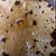 Amita tayal का कुकस्नैप जब उन्होंने मुलायम रोटी(Mulayam roti recipe in hindi) बनाया था।