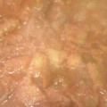 El cooksnap de Carlos Fernando Morales Del Portillo cuando hizo Chicharrón en salsa roja.