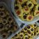 Cooksnap dari Dian Mayang untuk resep 4. Cookies mawar / semprit mawar