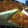El cooksnap de Ela Mi Fe cuando hizo Pizza casera la mejor!.