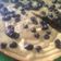 Cooksnap dari Sitepu (MamaJo's Kitchen) untuk resep Bolu agar zebra