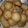 Cooksnap dari Rahmawati Takwa Spespatri untuk resep Roti Nyitnyit aka Roti Unyil