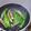 Syeda Hira Mujadid 's cooksnap of when they made Tali hui Hari mirchein.