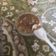 صورة من الامل الجابري، شاركها بعد تجربة وصفة حلى البسكويت