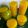 Madhumita Saha's cooksnap of when they made ম্যাঙ্গো জুস(mango juice recipe in Bengali).