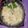 Cooksnap dari Endah Joe untuk resep #MACARONI SCHOTEL