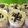 Cooksnap của Hồng Nhạn khi họ làm theo món Vanilla Cupcakes