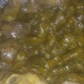 صورة من ام كريم my kitchen، شاركها بعد تجربة وصفة دوالي وكوسا يلنجي