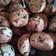 Cooksnap από Sofia mar στη συνταγή Cookies πορτοκαλιού!!!