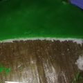 Cooksnap dari nita natalia untuk resep Ketan Srikaya Pandan 1 Telur