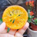 Cooksnap của Hoàng Thị Tố Hà khi họ làm theo món Mứt cam sấy dẻo