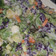 Cooksnap dari Wenny Wulandarie untuk resep Dressing Salad Buah Tahan Lama & Tidak Mudah Cair