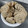 El cooksnap de Jimena Donato cuando hizo Galletitas de naranja con chips😋😍🍪🍪.