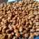 Cooksnap dari Renie Wisra untuk resep Kacang Goreng Tepung (Kacang Disco)
