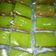 Cooksnap dari akhmad subekti untuk resep Bolu pandan tekstur chiffon