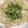 El cooksnap de JuniorCook cuando hizo Salsa pesto para unos ricos tallarines...