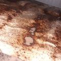 El cooksnap de Erica Barba Fink cuando hizo Tiramisú ♥️.