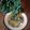 Cooksnap dari Neli Wafa Purwani untuk resep Sawi Pagoda Tumis Wortel