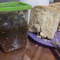 El cooksnap de Brenda Flores cuando hizo Berenjenas en escabeche 🤗.