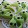 Cooksnap dari Miss Kodok untuk resep Kue ulat bulu(caterpillar)