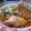 Tejashvi Sharma's cooksnap of when they made Samosa chat.