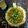 Payal Sachanandani (payal's kitchen)'s cooksnap of when they made મમરાની ચટપટી ભેળ.