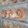 Cooksnap dari Pemula.Sumba untuk resep Cinnamon roll