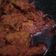 Cooksnap dari Safitri Yunitasari untuk resep Rendang Daging anti gagal