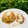 Cooksnap của Dy Dy khi họ làm theo món Ăn dặm: risotto cá hồi