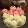 Cooksnap dari eka orto untuk resep Kue mangkok mekrok/kue apem