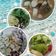 Cooksnap dari Ayma Rahmawati untuk resep Tomyum Seafood