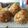 Karan Tripathi (Food Fanatic)'s cooksnap of when they made Dahi Papad Kababs.