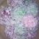Cooksnap dari iis aisyah untuk resep Klepon Special