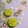 Sudipa Gope's cooksnap of when they made Moong Dal Halwa !!.