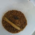 Cooksnap dari Gerai Bunda Faris untuk resep Abon Ikan