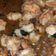 Cooksnap dari Nona Krensi untuk resep Udang Goreng Mentega
