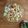 Cooksnap dari Vifya_kitchen untuk resep Tumis Tahu Sawi