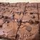 Cooksnap dari Ira Kristiyanti untuk resep CHEWY BROWNIES + tips sukses shiny crust