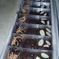 Cooksnap dari Lia Mulia Sari untuk resep Fudgy Brownies Oven Tangkring