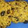 El cooksnap de yemilei cuando hizo Galletas rápidas de avena, miel y pasas.