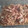El cooksnap de Rico cuando hizo Spaghetti con verduras y carne picada.