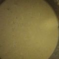 El cooksnap de Vero Retamero García cuando hizo Crema de guisantes con Thermomix.