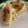 El cooksnap de Demetrio samuel Gutiérrez artiles cuando hizo Arepas con relleno Reina Pepiada.